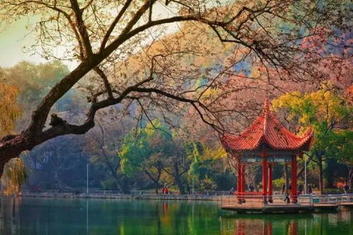 桃源深处评测：何处安吾心，便是吾乡？