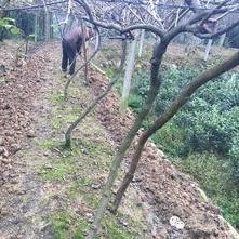 元素方尖评测：大杂烩？揭秘未来潜力