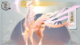 《仙风道骨》手游，如何玩转仙侠世界？