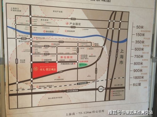 摔跤革命来袭！《真实拳击》评测揭秘