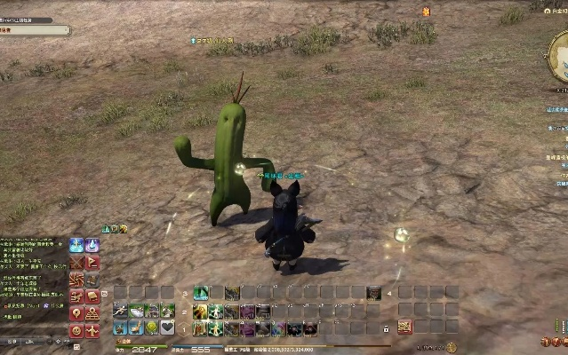 FF14演技教材优雅仙人刺攻略：快速习得方法揭秘