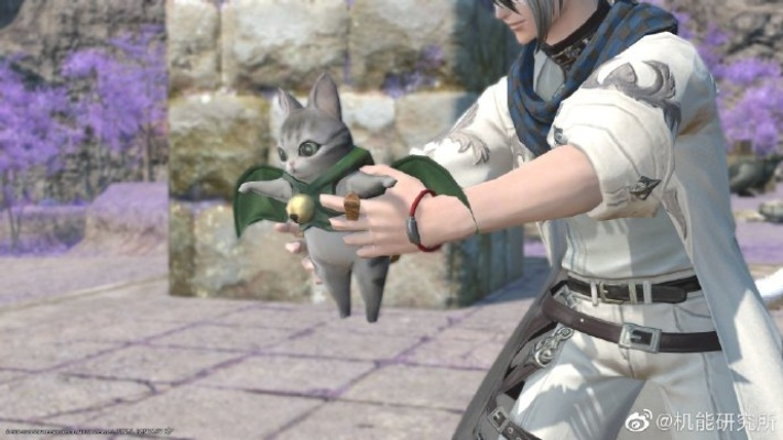 FF14演技教材疑问解法攻略，疑问动作速成！