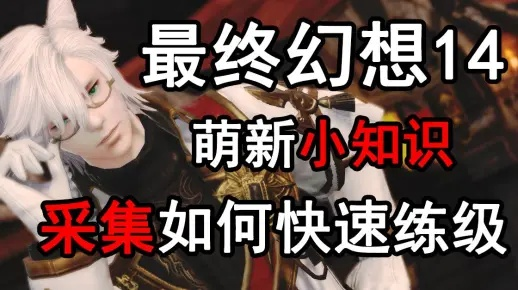 FF14演技教材疑问解法攻略，疑问动作速成！