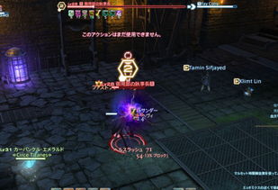 FF14花束赠送攻略：快速习得情感动作技巧