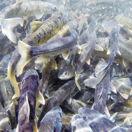 《死亡搁浅2》揭秘：昼夜循环系统背后的神秘面纱！