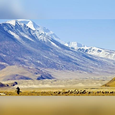 永恒天空口碑滑坡背后，一场关于承诺与重塑的生存考验