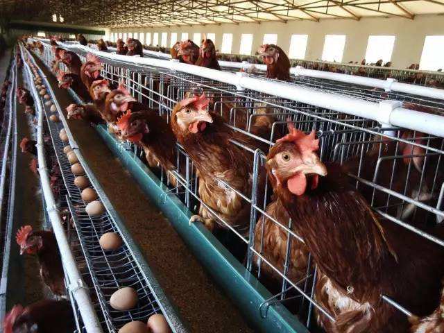 《波斯王子：Rogue》简评：非典型肉鸽