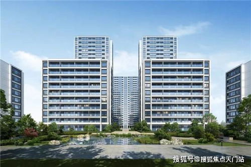 迷城陆区酒保揭秘：独家解锁攻略，一饮解千愁！