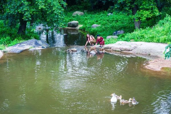 探寻桃源秘境！揭秘鱼溪村精卫神秘放置点，你敢来挑战吗？