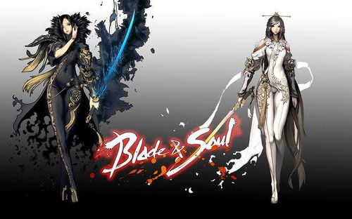 剑灵2弓武器搭配攻略：揭秘高阶剑灵的神秘组合！