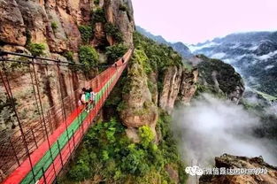 江东雁荡山地图：苍龙白鸟大江湖攻略全收录