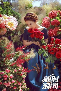 燕云十六声紫薇阙价格查询，新时装紫薇阙售价一览