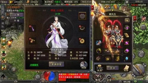 揭秘：苍龙白鸟冰雪冷元子独家获取秘籍，江湖奇遇等你来！