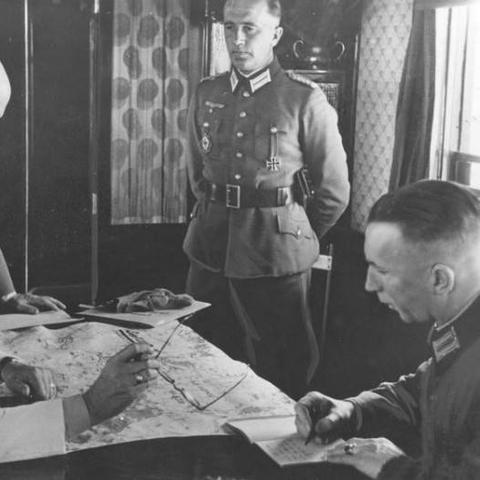 逆境重生！揭秘黑色迅猛龙神秘藏身之地