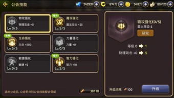 龙之谷祭司技能加点秘籍：解锁神秘力量，提升战力！