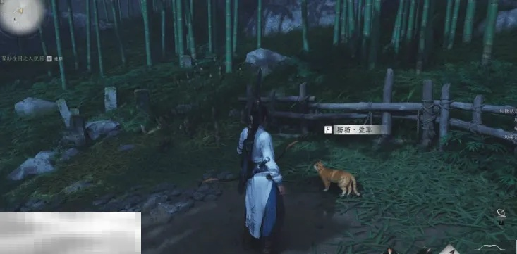 燕云十六声清河烧瓷岭猫戏地址揭秘