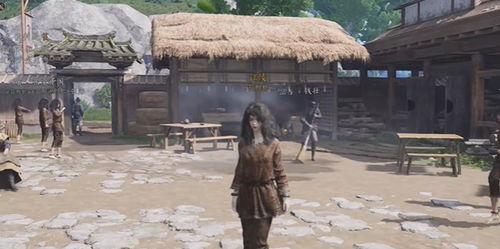 燕云十六声清河丹崖猫戏地址揭秘