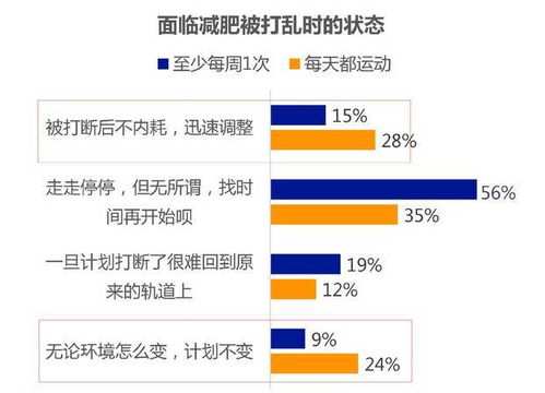 踏风行资源分配秘籍：揭秘如何高效布局核心资源