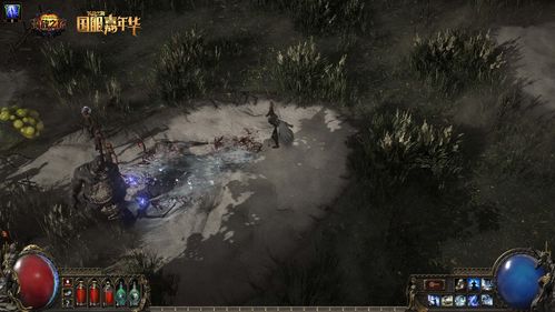 《流放之路2 Steam数据同步教程》多平台绑定攻略