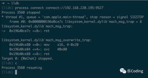 燕云十六声柴九堆结交技巧 柴九堆对话攻略 燕云十六声柴九堆结交技巧 柴九堆对话攻略