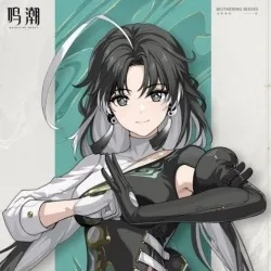 鸣潮2.2版漂泊者气动是否值得培养？角色评价及培养攻略