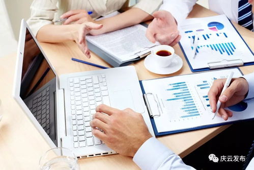 开放空间艾美可可培养秘籍