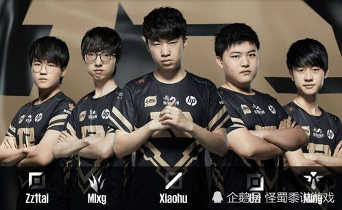 《揭秘：知名玩家身份背景》