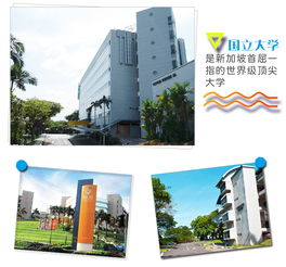 罗塔花园广场全收集品盘点