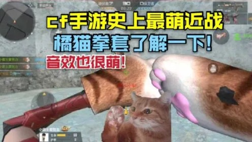 开放空间猫猫拳套免费获取攻略
