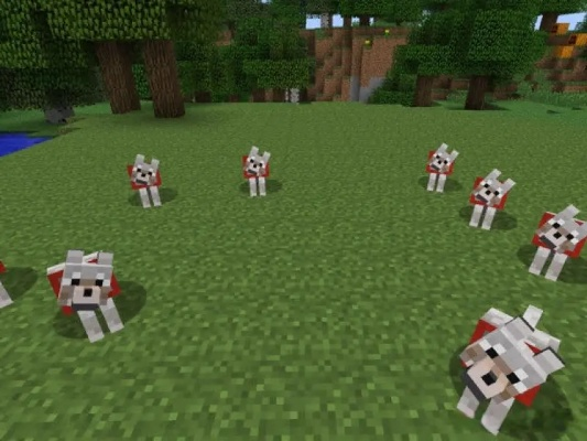 《揭秘！轻松驯服我的世界狼，独家技巧大公开》