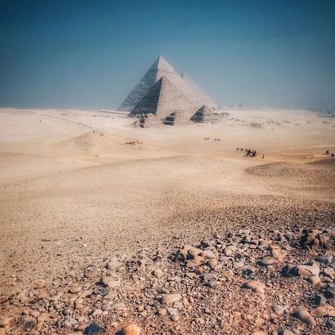 《揭秘苏丹游戏：哈桑角色攻略，轻松上手！》