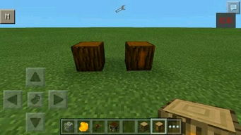 《揭秘！Minecraft橡胶树橡胶获取全攻略，新手必看！》