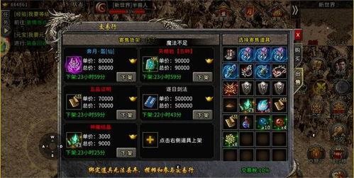 《白霜之剑苏丹攻略：揭秘金色装备获取秘籍！》