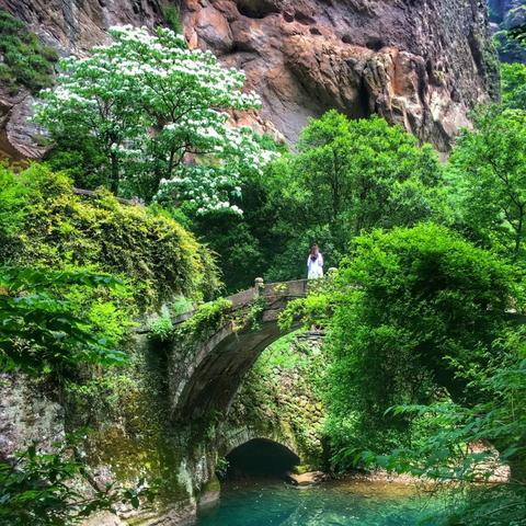 《一招轻松！Minecraft下雪秘籍，冬日奇景等你来》