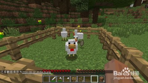 《我的世界养鸡攻略：新手到大师全解析》