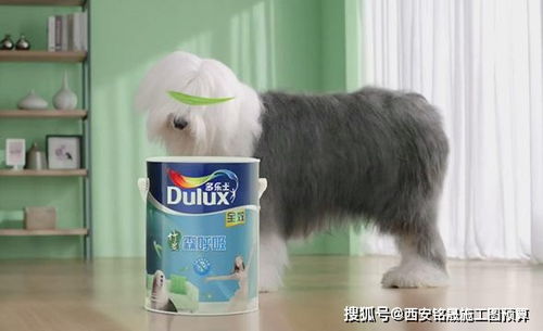 燕云十六声《桑间之咏》任务攻略：快速掌握万事知技巧