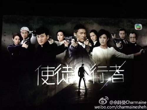 《麦芬第十使徒忆战回环攻略：高效打法揭秘》