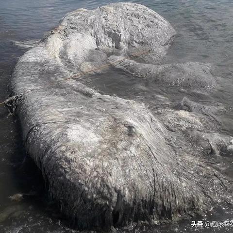 《死亡搁浅2》摄影揭秘：宝宝洛萌态十足，揭秘游戏幕后！