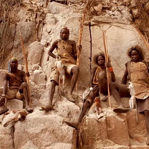 《虚幻5新科技，游戏行业变革先锋》