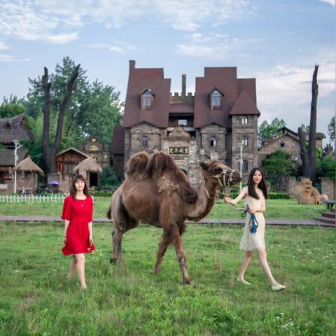 《萌宠温泉盛宴!线条小狗免费升级,夏日88折畅享萌宠治愈之旅》 《萌宠温泉盛宴!线条小狗免费升级,夏日88折畅享萌宠治愈之旅》