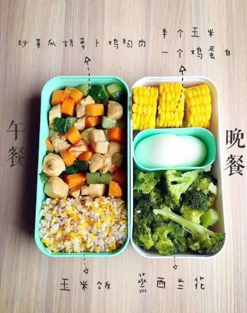 晶核食谱大揭秘：独家获取食物食谱攻略