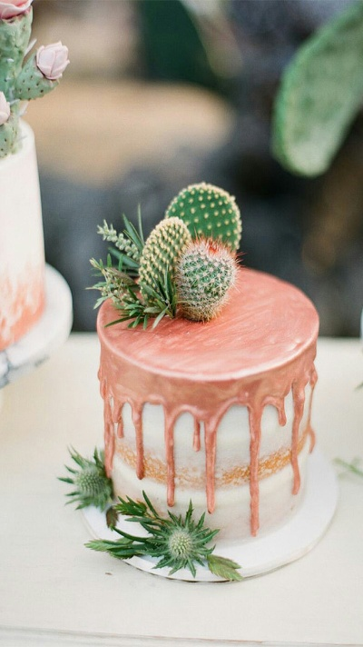 苏丹仙人掌蛋糕攻略：大餐级制作秘籍揭秘