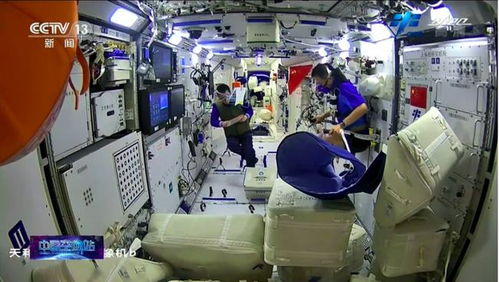 《分拣员模拟器售价揭秘：性价比之选》