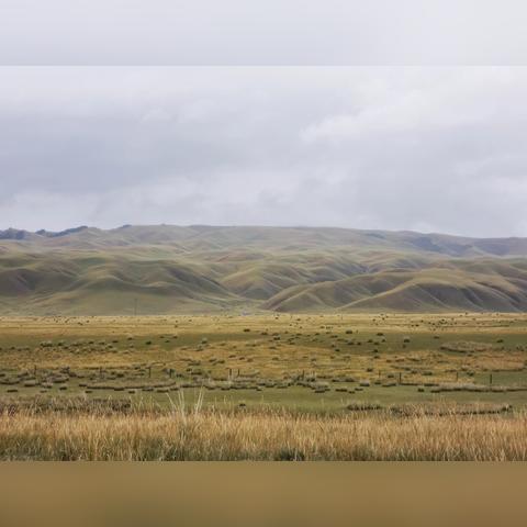 河西走廊文化史诗新篇章：《归唐》与甘肃文旅厅联手揭秘！