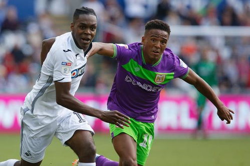 《卢米纳尔解限机攻略：独家玩法揭秘》