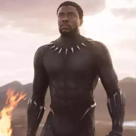 《黑豹解限机攻略：独家玩法揭秘》