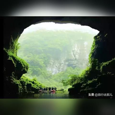 奇蛋生物主岛布局攻略：探索隐藏宝藏的秘境布局