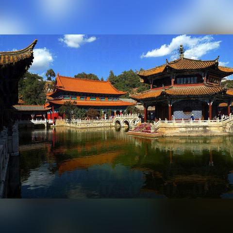 《盾爆乌龟队攻略：怪物乐土最强搭配揭秘》