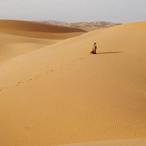 沙丘觉醒阵营转换攻略：哈克南vs厄崔迪家族秘籍