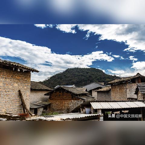 奇蛋生物石头岛攻略：布局秘籍大揭秘！